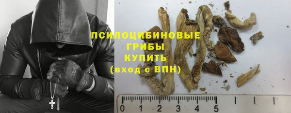 прущие крисы Пролетарск